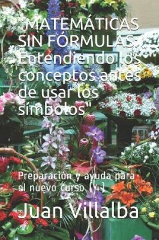 Cover of "matematicas Sin Formulas