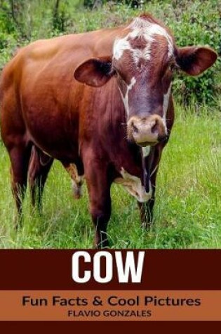 Cover of Cow