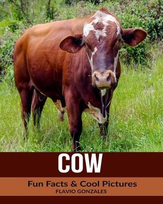 Book cover for Cow