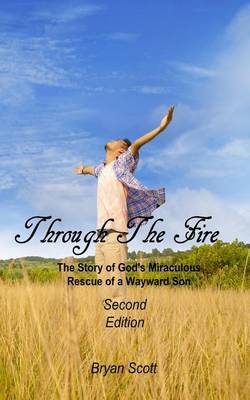 Book cover for Through the Fire