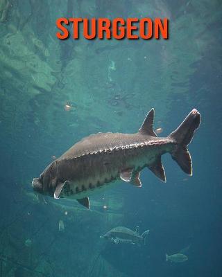 Book cover for Sturgeon