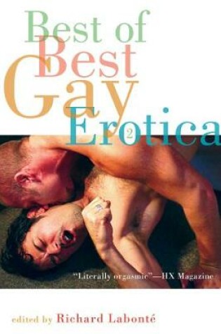 Cover of Best of Best Gay Erotica 2