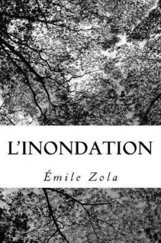 Cover of L'Inondation