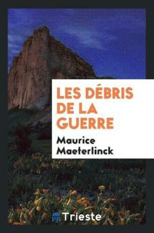 Cover of Les Debris de la Guerre