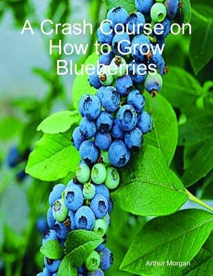 Book cover for A Crash Course on How to Grow Blueberries