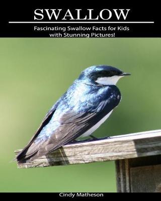 Book cover for Swallow