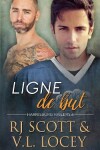 Book cover for Ligne de but