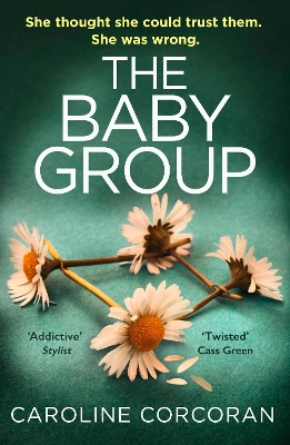 Book cover for The Baby Group