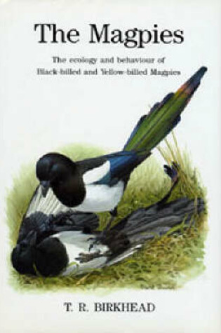 Cover of The Magpies