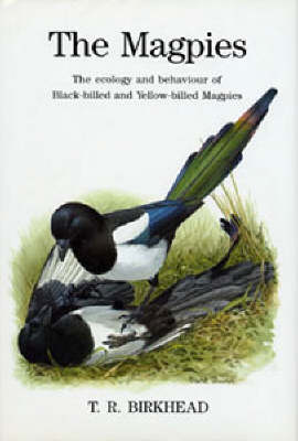 Book cover for The Magpies