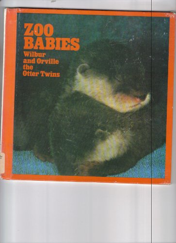 Book cover for Wilbur and Orville, the Otter Twins