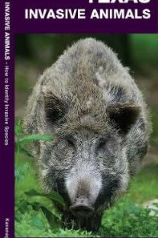 Cover of Texas Invasive Animals
