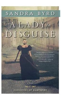 Book cover for A Lady in Disguise
