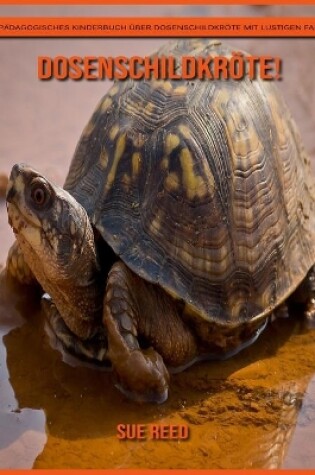 Cover of Dosenschildkröte! Ein pädagogisches Kinderbuch über Dosenschildkröte mit lustigen Fakten