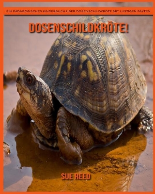 Book cover for Dosenschildkröte! Ein pädagogisches Kinderbuch über Dosenschildkröte mit lustigen Fakten