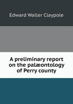 Book cover for A preliminary report on the palæontology of Perry county