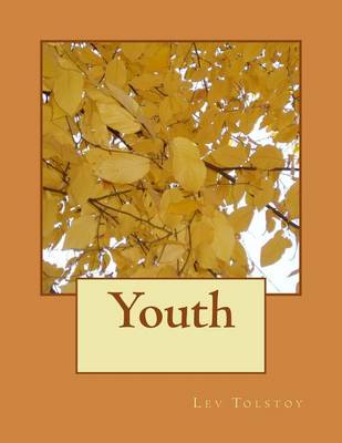Book cover for Youth