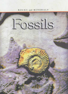 Book cover for Rocks & Minerals: Fossils