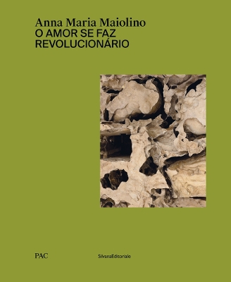 Book cover for Anna Maria Maiolino