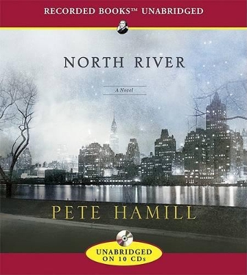 Book cover for North River