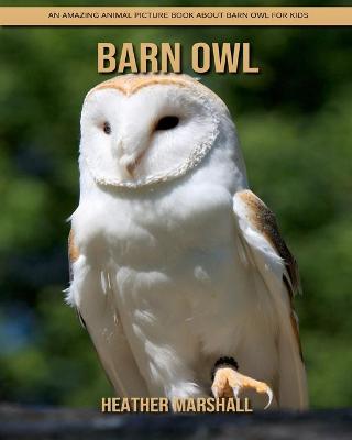 Book cover for Barn Owl