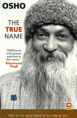 Book cover for The True Name