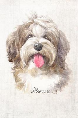 Book cover for Havanese Dog Portrait Notebook