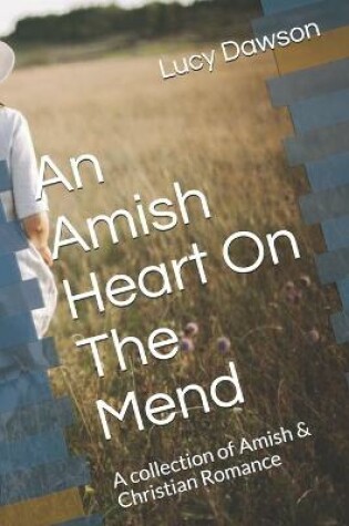 Cover of An Amish Heart On The Mend