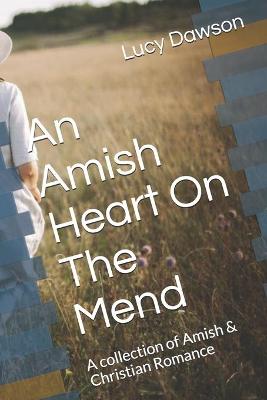 Book cover for An Amish Heart On The Mend