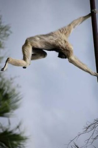 Cover of Pileated Gibbon Swinging Around in Thailand