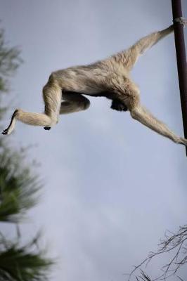 Book cover for Pileated Gibbon Swinging Around in Thailand