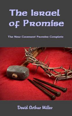Book cover for The Israel of Promise