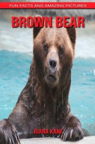 Cover of Brown Bear