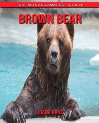 Book cover for Brown Bear