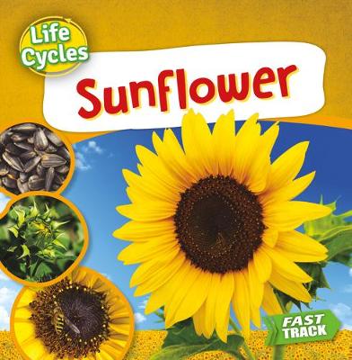 Book cover for Sunflower