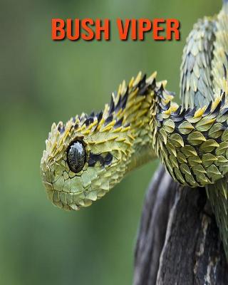 Book cover for Bush Viper