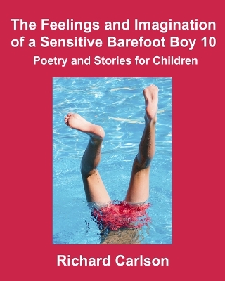 Book cover for The Feelings and Imagination of a Sensitive Barefoot Boy 10