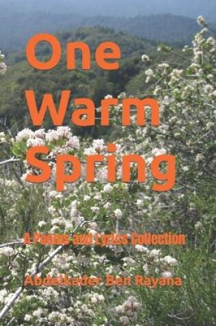 Cover of One Warm Spring