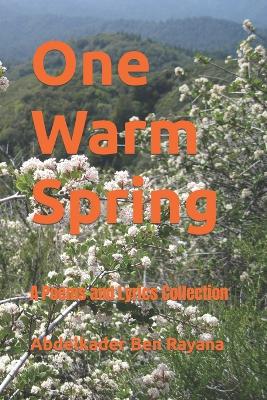 Book cover for One Warm Spring