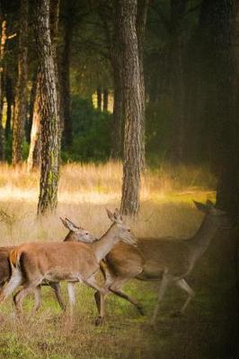 Book cover for A Herd of Deer in the Woods Journal