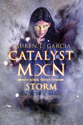 Cover of Storm