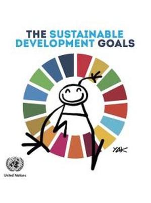 Book cover for The Sustainable Development Goals
