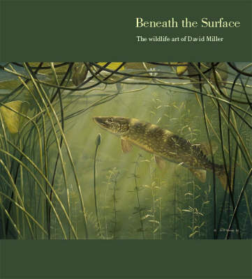 Book cover for Beneath the Surface