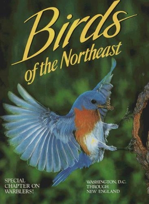 Book cover for Birds of the Northeast