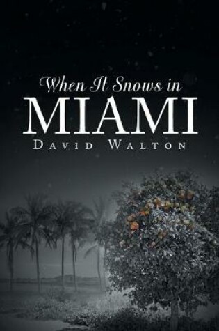 Cover of When It Snows In Miami