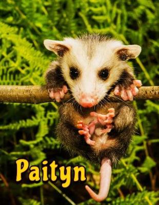 Book cover for Paityn