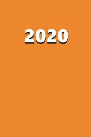 Cover of 2020 Daily Planner 2020 Orange Color 384 Pages