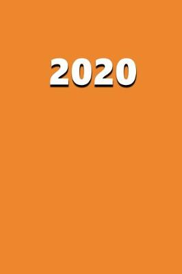 Book cover for 2020 Daily Planner 2020 Orange Color 384 Pages