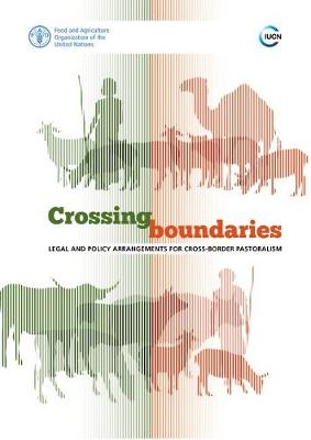 Book cover for Crossing boundaries