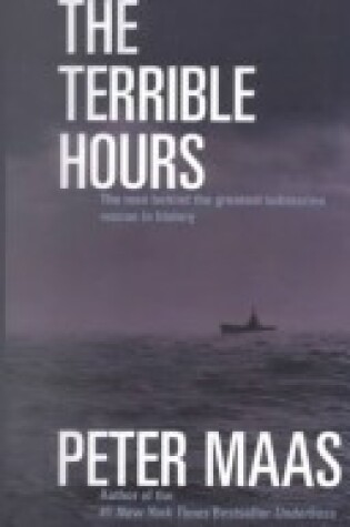 Cover of Terrible Hours PB